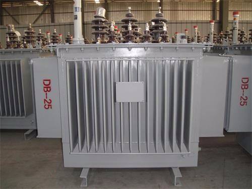 林芝S13-100KVA/10KV/0.4KV油浸式变压器