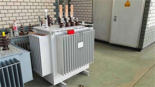 林芝S11-100KVA/10KV/0.4KV油浸式变压器